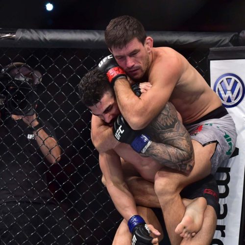 deiman maia2